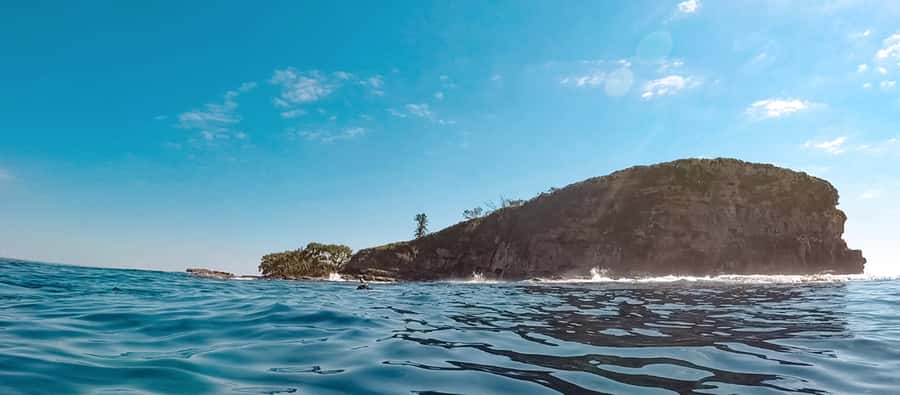 Mooloolaba: Snorkel with Turtles Mudjimba Island - Quick hits