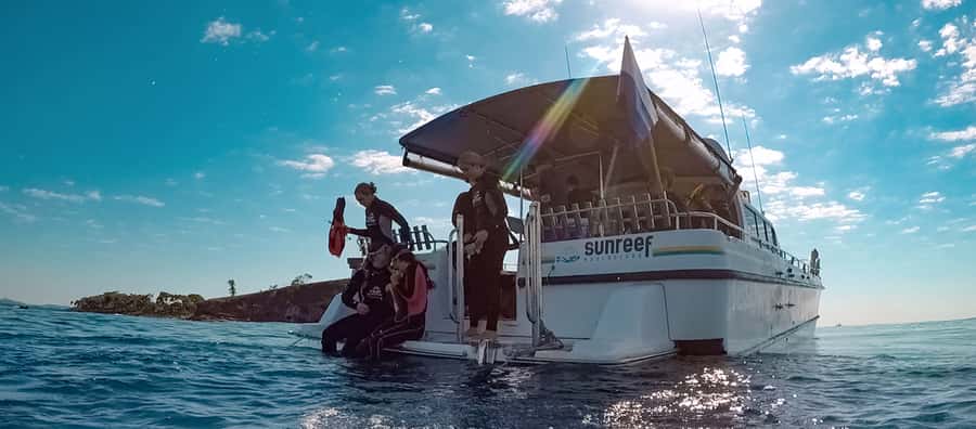 Mooloolaba: Snorkel with Turtles Mudjimba Island - Mudjimba Island Turtles: Why This Snorkel Feels Worth It