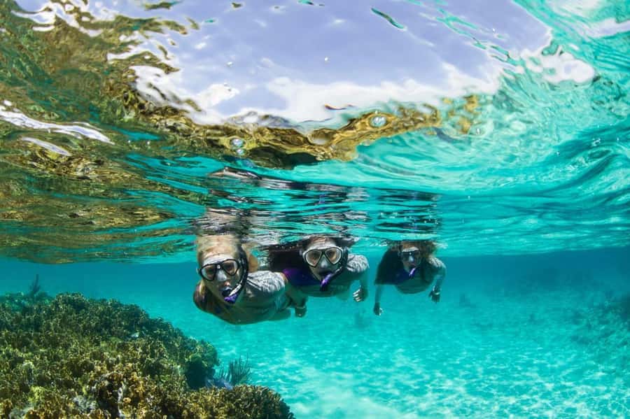 Mooloolaba: Snorkel with Turtles Mudjimba Island - Gear Is Included, and It Changes How Easy Snorkeling Feels