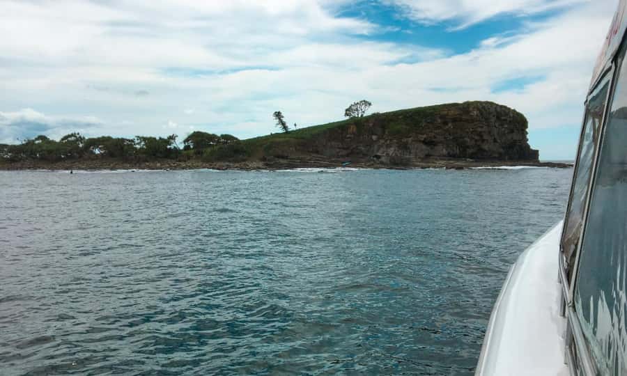 Mooloolaba: Snorkel with Turtles Mudjimba Island - Safety, Waivers, and the Human Side of the Briefing