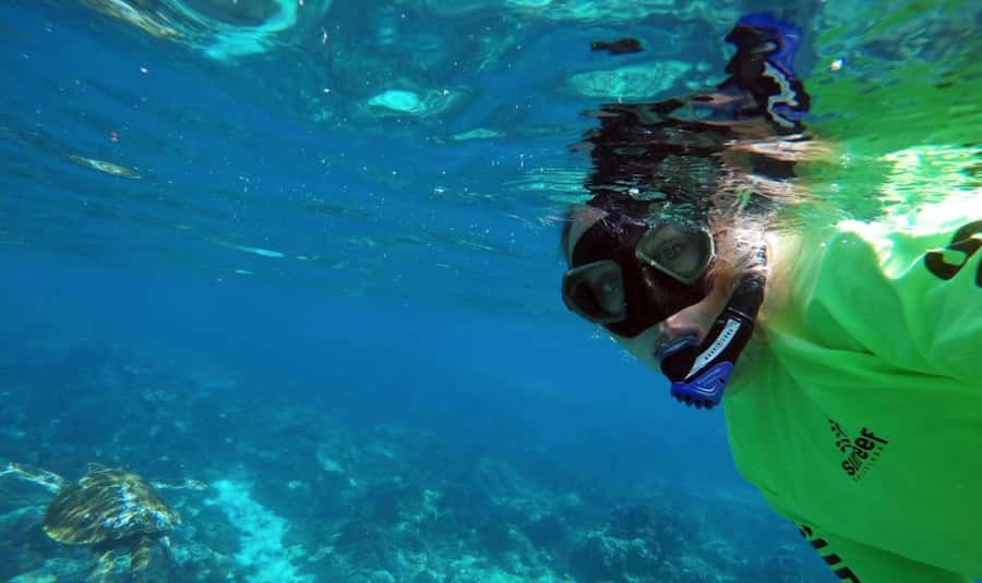 Mooloolaba: Snorkel with Turtles Mudjimba Island - Your Guided Snorkel Hour: 5 to 14 Meters of Reef Life