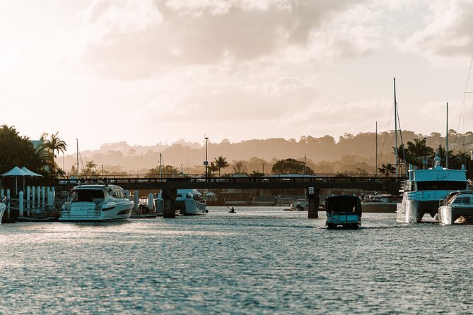 Mooloolaba Sunset Cruise with Live Music - Your individual grazing box: simple, local, and genuinely useful