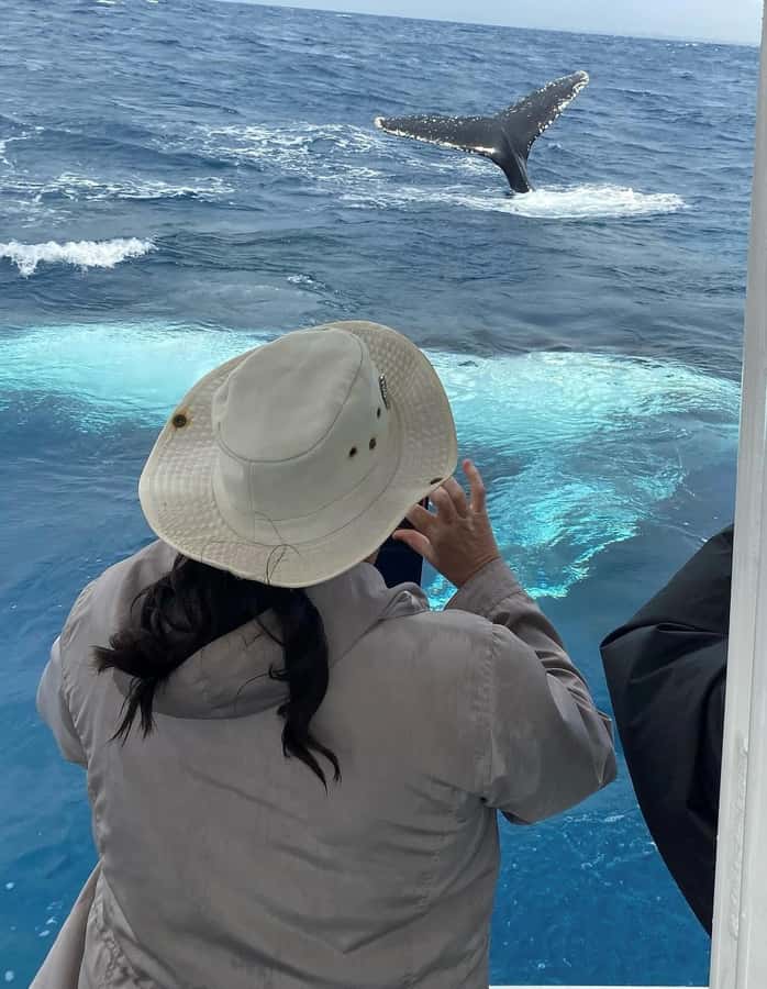 Mooloolaba: Whale Watching Cruise - Who This Cruise Suits Best, and Who Should Skip It