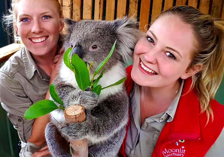 Moonlit Sanctuary Conservation Park Entry Ticket - Key points before you go
