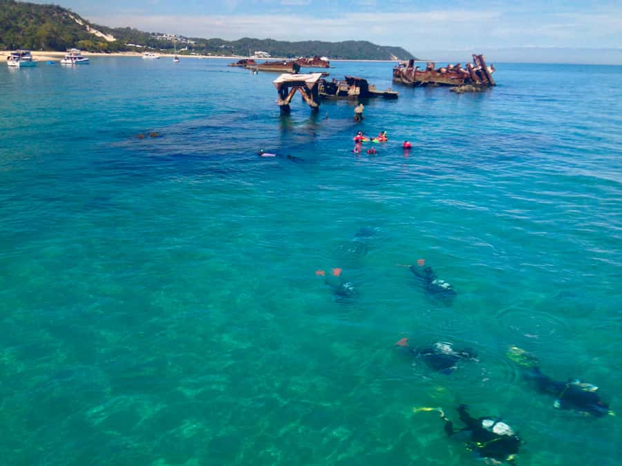 Moreton Island Day-Trip to Scuba Dive and More - Key highlights you should know before you go