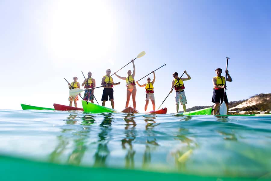 Moreton Island Day-Trip to Scuba Dive and More - What you will likely see around the wrecks