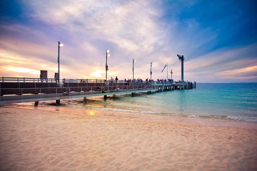 Moreton Island: Desert Safari Tour & Dolphin Viewing - Wet weather, timing, and safety realities you should plan for