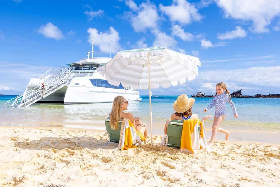 Moreton Island: Dolphin & Tangalooma Wrecks Snorkel Cruise - Key points to know before you go