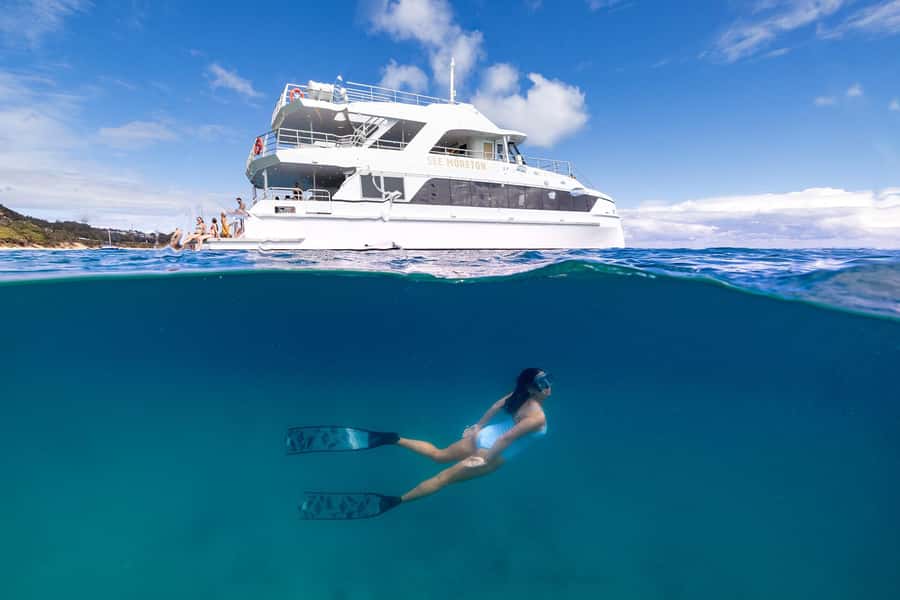Moreton Island: Dolphin & Tangalooma Wrecks Snorkel Cruise - Moreton Island in one day, with a smooth catamaran day plan