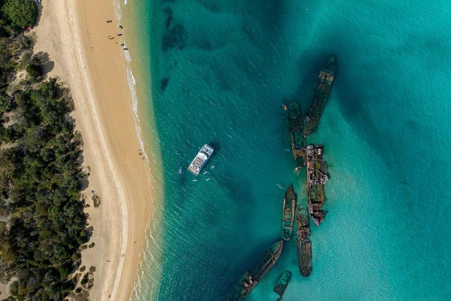 Moreton Island: Dolphin & Tangalooma Wrecks Snorkel Cruise - Snorkeling the Tangalooma Wrecks: guided, beginner-friendly, and worth planning for