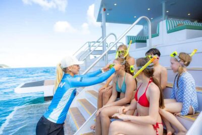 Moreton Island: Dolphin & Tangalooma Wrecks Snorkel Cruise