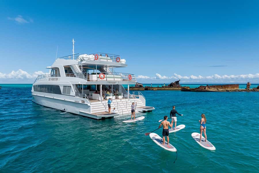 Moreton Island: Dolphin & Tangalooma Wrecks Snorkel Cruise - Timing and drop-off: how the day fits your Brisbane or Gold Coast plan