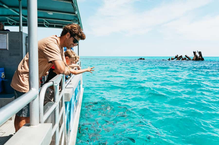 Moreton Island: Marine Discovery Cruise & Dolphin Feeding - Tangalooma Island Resort day pass: pools, bars, and a place to reset