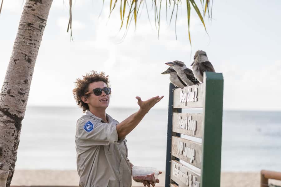 Moreton Island: Marine Discovery Cruise & Dolphin Viewing - Lunch, pacing, and the “don’t lose time” strategy