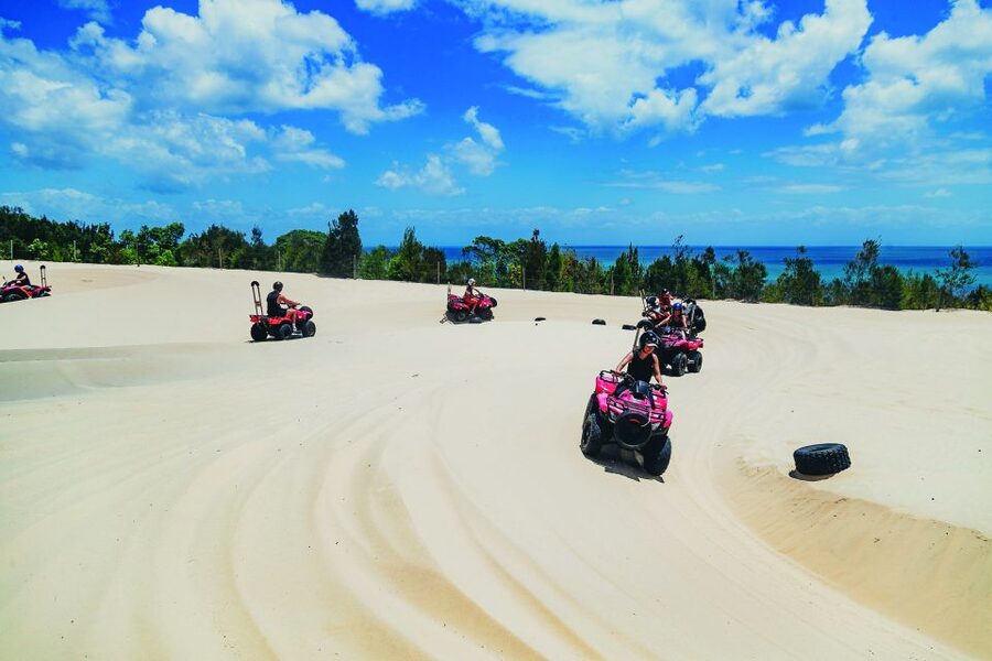 Moreton Island: Tangalooma ATV Quad Bike & Dolphin Feeding - Price and logistics: what $172 buys you in value