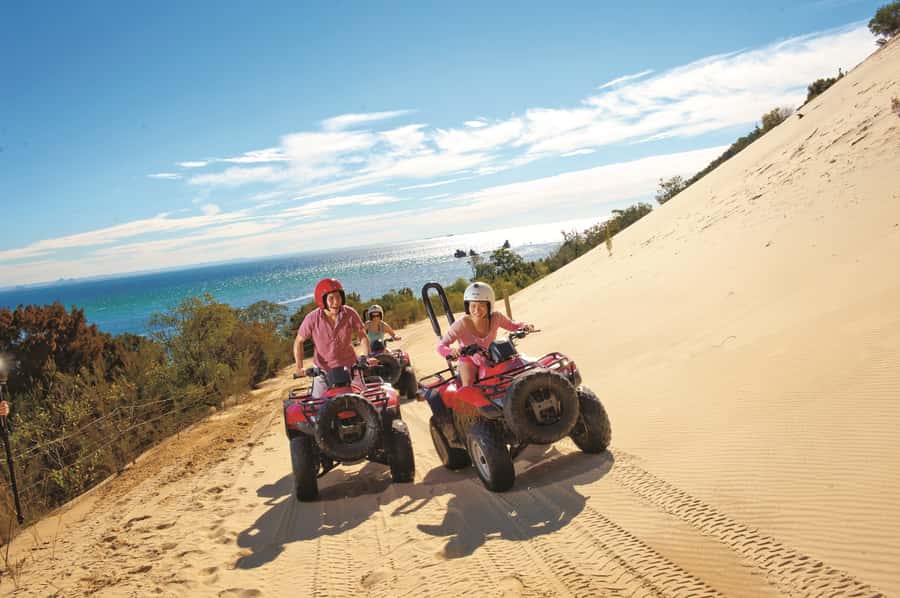 Moreton Island: Tangalooma ATV Quad Bike & Dolphin Feeding - Who should book this Moreton Island day trip