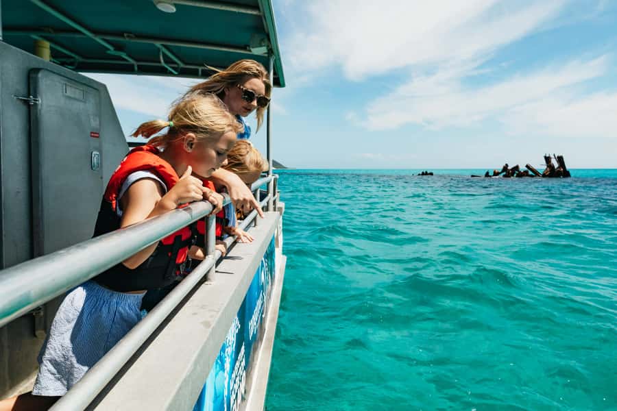 Moreton Island: Tangalooma Day Trip Marine Discovery Cruise - Eco Rangers and the Dolphin Video: The Learning Portion That Adds Value