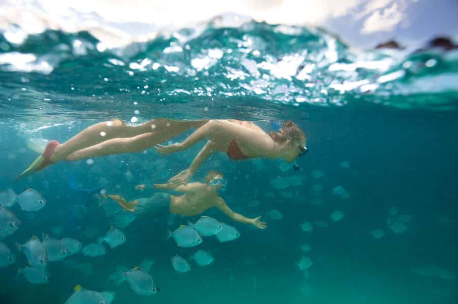 Moreton Island: Tangalooma Day Trip with Snorkeling Tour - The resort pass: why you feel like you get more than a quick beach stop