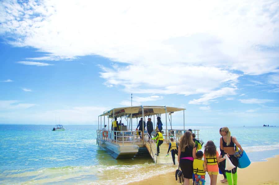 Moreton Island: Tangalooma Day Trip with Snorkeling Tour - The main trade-offs, so you do not get surprised