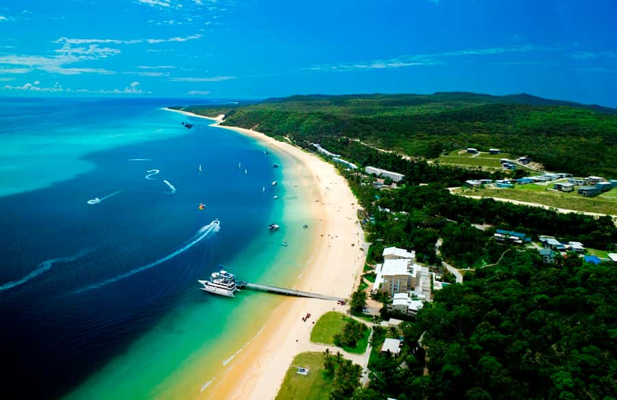 Moreton Island: Tangalooma Desert Safari and Dolphin Feeding - Sunset dolphin watching and the Wild Dolphin Feeding experience at Tangalooma