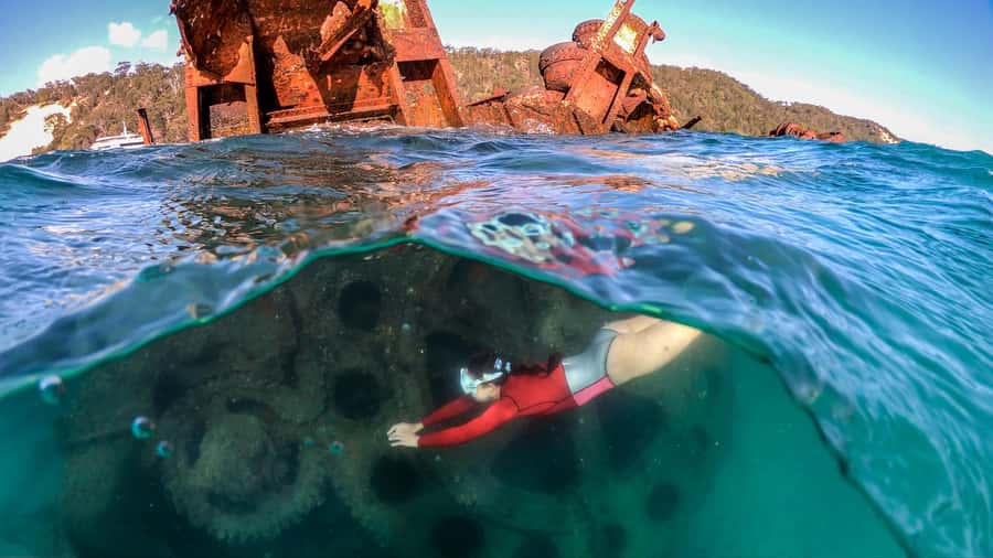 Moreton Island: Tangalooma Snorkeling Tour & Dolphin Feeding - Snorkel the Tangalooma Wrecks: world-famous reef, real-world timing