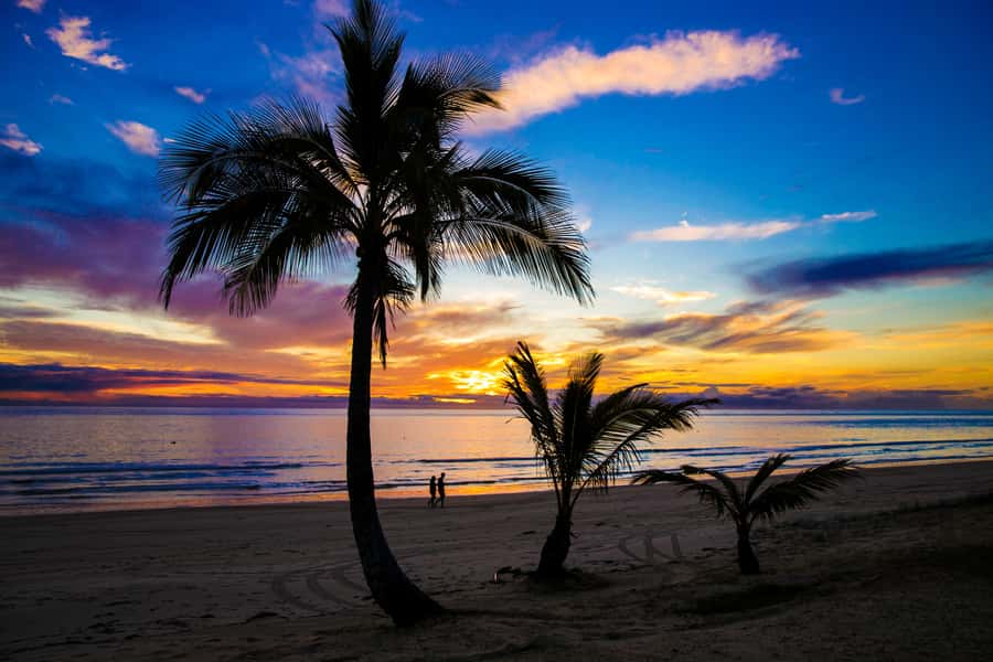 Moreton Island: Tangalooma Snorkeling Tour & Dolphin Feeding - Wildlife at sunset: what the Wild Dolphin Feeding really feels like