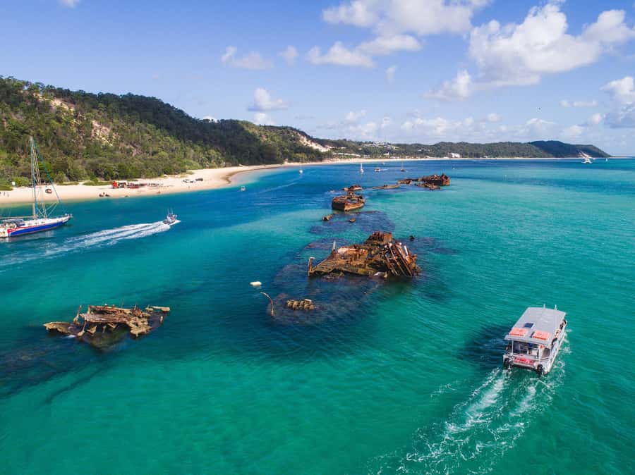 Moreton Island: Tangalooma Snorkeling Tour & Dolphin Feeding - Who this tour suits best, and who should reconsider