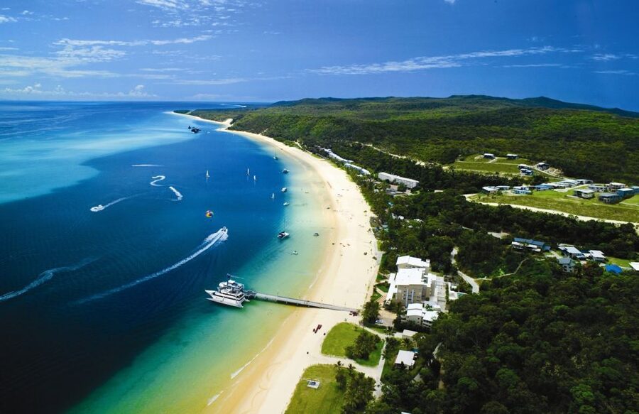 Moreton Island: Tangalooma Whale Watching & Dolphin Feeding - The midday whale watching cruise: 3 hours of real wildlife focus