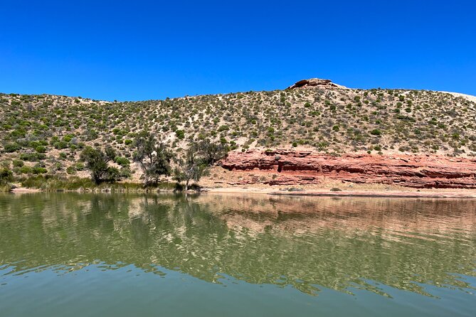 Morning Cruise on the Murchison River in Kalbarri (April to Nov) - Why a morning Murchison River cruise works so well in Kalbarri
