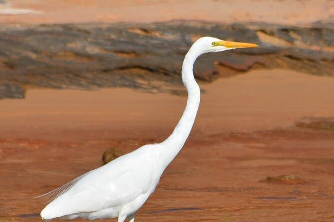 Morning Cruise on the Murchison River in Kalbarri (April to Nov) - The itinerary from Marine Rescue to the Murchison River Mouth