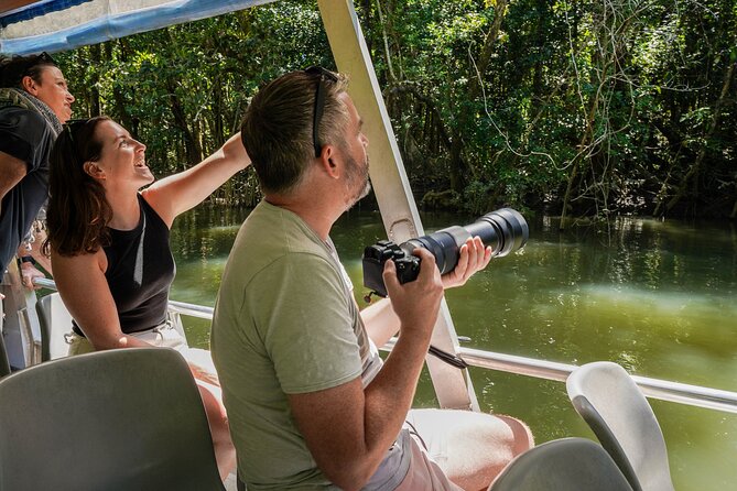 Morning Daintree Tour with River Cruise from Port Douglas - Price and value versus doing it on your own
