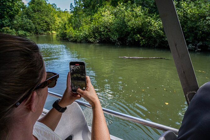 Morning Daintree Tour with River Cruise from Port Douglas - Guides and pacing: how the experience stays relaxed