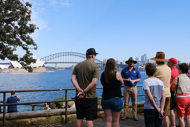 Morning or Afternoon Half-Day Sydney City Sightseeing Tour - Hotel Pickup, Small Van Flow, and How the Day Feels