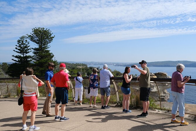 Morning or Afternoon Half-Day Sydney City Sightseeing Tour - Rose Bay and the Eastern Suburbs Look: Grand Homes With Harbor Views