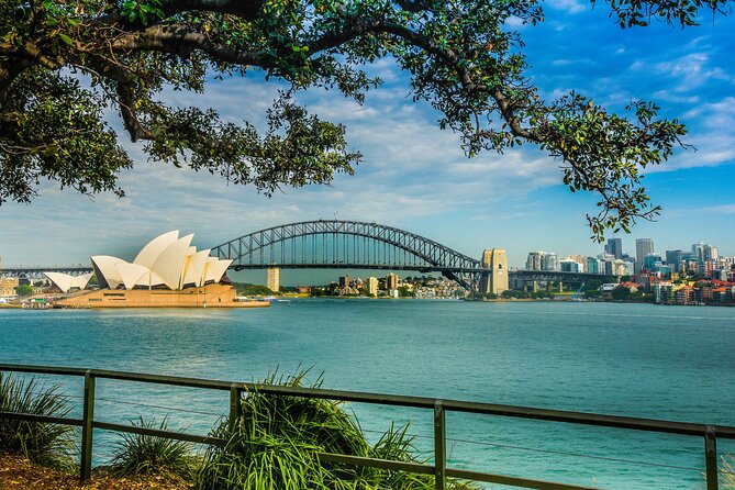 Morning or Afternoon Half-Day Sydney City Sightseeing Tour - Bondi Beach Time: A Proper Dose, Not a Drive-By