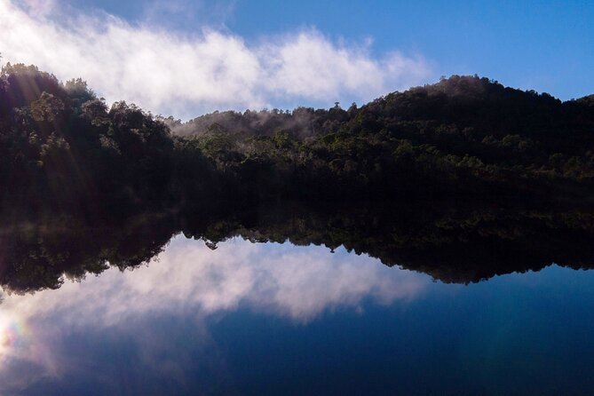 Morning World Heritage Cruise on the Gordon River from Strahan - Boat-day value: what you’re paying $111.17 for