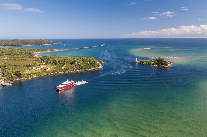 Morning World Heritage Cruise on the Gordon River from Strahan - Should you book the Morning World Heritage Cruise from Strahan?
