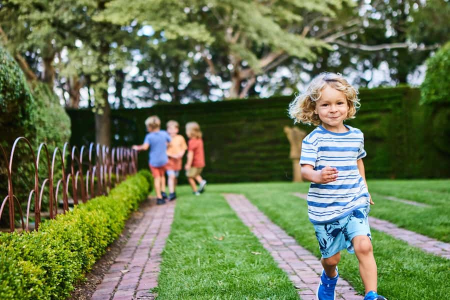 Mornington Peninsula: Enchanted Adventure General Admission - Planning Your Picnic Day: Shoes, Cafe Breaks, and Pacing