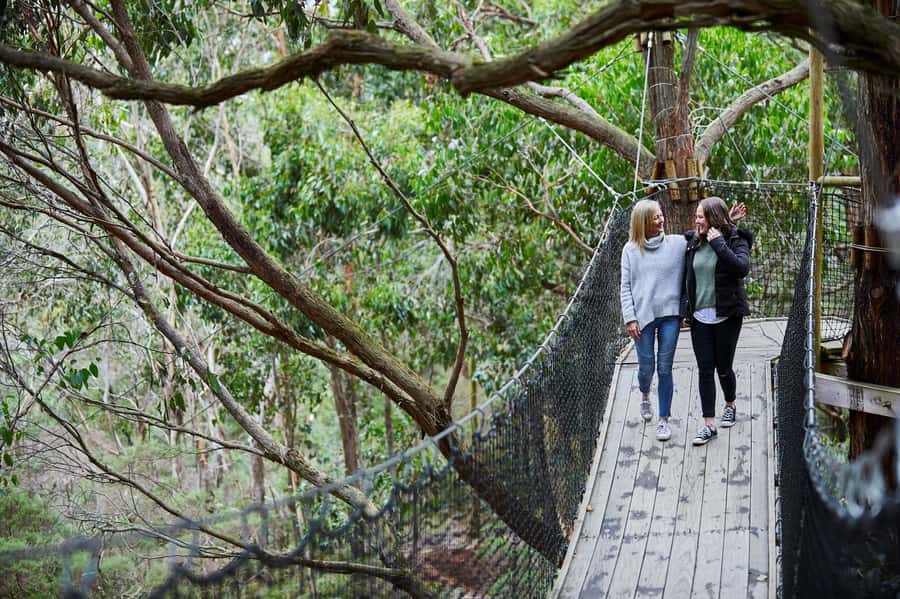 Mornington Peninsula: Enchanted Adventure General Admission - Tree Surfing Upgrade: What’s Included, What’s Not