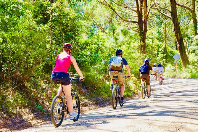 Mornington Peninsula Self-Guided Bike Tour | Food & Wine Region - How the 6-hour self-guided format plays in real life