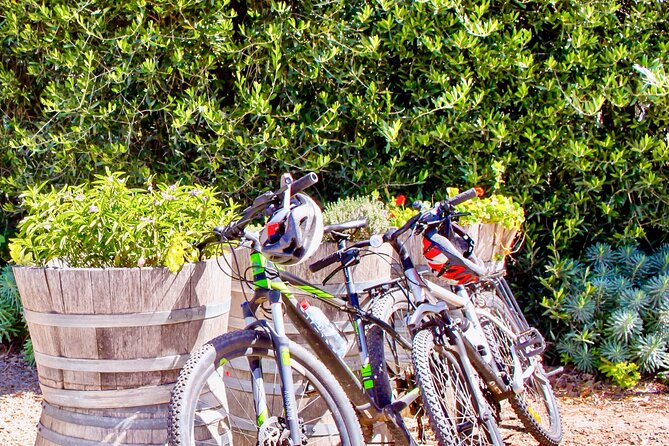 Mornington Peninsula Self-Guided Bike Tour | Food & Wine Region - Arthurs Seat State Park, skyline views without a big detour
