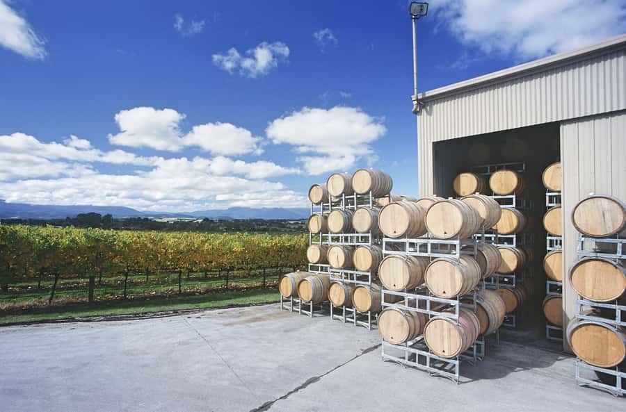 Mornington Peninsula Winery Bus Tour with Lunch & Wine - Who This Tour Suits Best (and Who Might Be Unsatisfied)