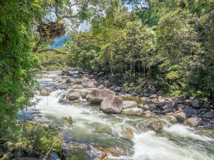 Mossman Gorge: Day Tour with River Drift Experience - River Drift on Sleds, Not Another Rush Through the Daintree