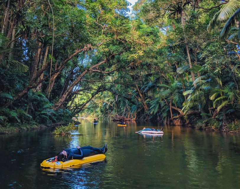 Mossman Gorge: Day Tour with River Drift Experience - Lunch and Snacks: A Real Break, Not Just a Token Meal