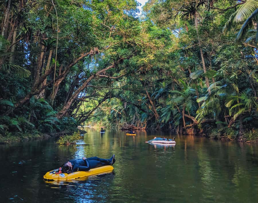 Mossman Gorge: Day Tour with River Drift Experience - Getting Picked Up in Port Douglas or Mossman (and Knowing Where to Stand)