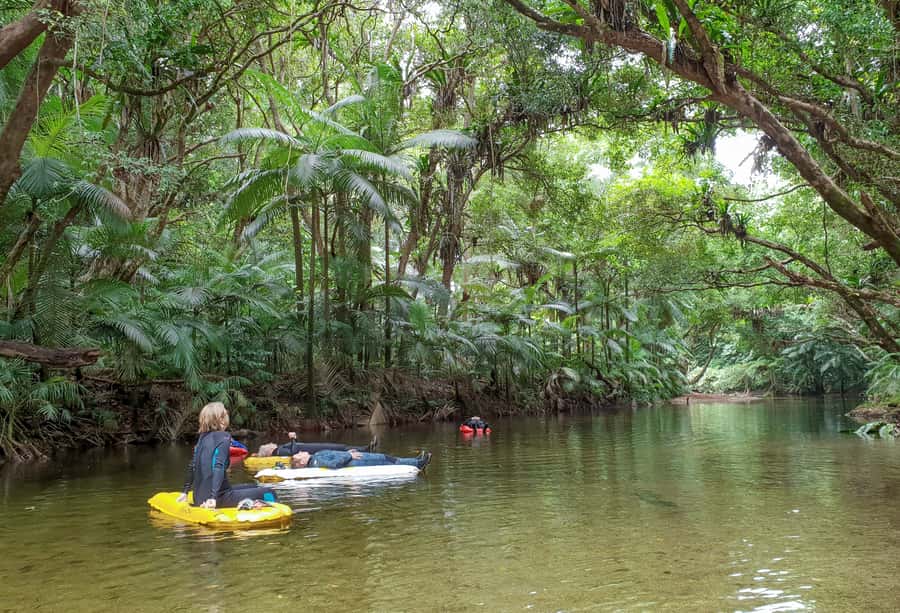 Mossman Gorge: Day Tour with River Drift Experience - What You Must Bring, and What Can Trip You Up