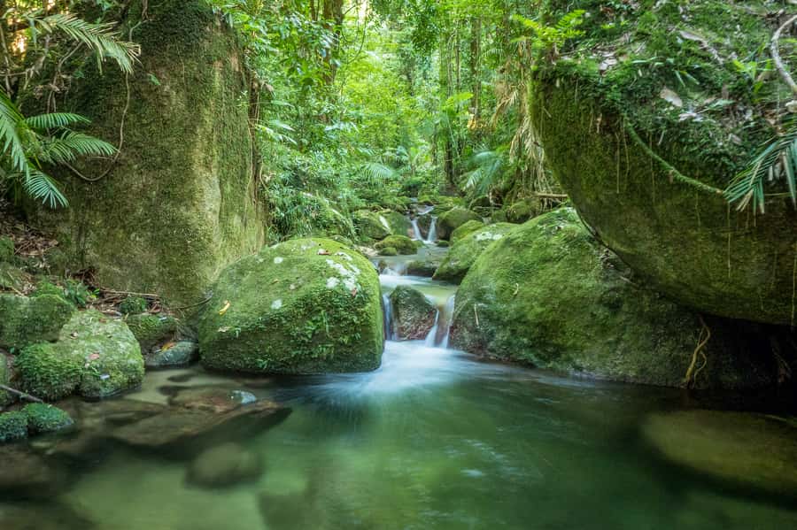 Mossman Gorge: Day Tour with River Drift Experience - Price and Value: Is $191 Per Person Fair for What You Get?