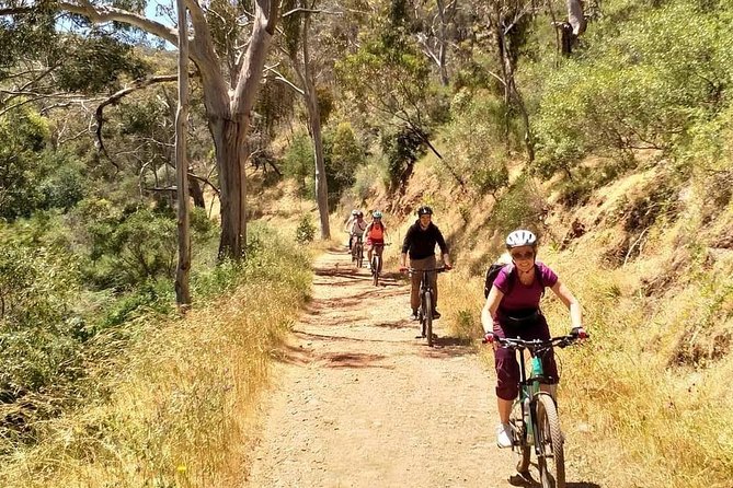 Mount Lofty Descent Bike Tour from Adelaide - Getting to the summit: 4WD ride, photo stop, and a real starting line