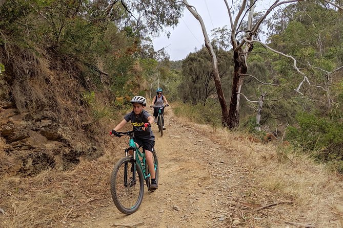 Mount Lofty Descent Bike Tour from Adelaide - Bikes, helmets, and why the equipment quality matters