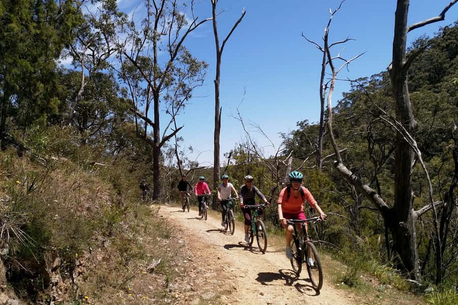 Mount Lofty Downhill Bike Tour & Cleland Wildlife Park Visit - Key highlights worth knowing